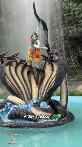 #CapCut jay Shree Krishna 