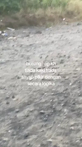 pikir dengan secara logika#fypシ゚ #4upageシ #limpasberandafyp @soppong🎭 @𝗲𝗿𝘃𝘆𝗻𝗮𐙚 @r🏷w @man @ℳ𝒾𝓁ℴ𝒶𝒾𝓈_ @Da’mouiy @Imran 01 
