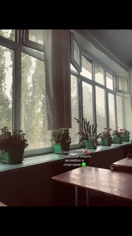 #вглобальныйрек??? 