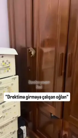 #🤣🤣🤣 