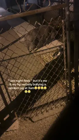 yooo like why do they got a pig out at 3am😭😭😭😭😭😭😭 @mahogany 🩷  @The Author #viral #relatable #viralvideo #onthisday #fypシ #pig #random 