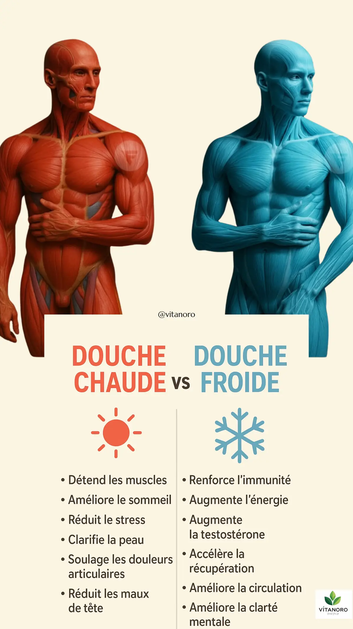🚿 Douche chaude 	•	Détend les muscles 	•	Améliore le sommeil 	•	Réduit le stress 	•	Purifie la peau 	•	Soulage les douleurs articulaires 	•	Réduit les maux de tête ❄️ Douche froide 	•	Renforce l’immunité 	•	Augmente l’énergie 	•	Stimule la testostérone 	•	Accélère la récupération 	•	Améliore la circulation 	•	Améliore la clarté mentale