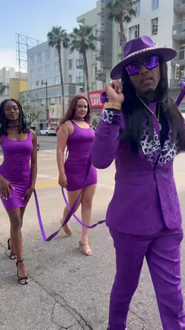 “LEASH….LEASH….See playa she don’t follow your lead because she don’t P-Lieve” - ITS PURPLE🕺🏾
