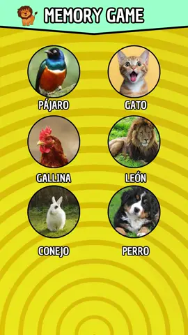 Memory game #quiz #trivia #preguntas #game #preguntasyrespuestas 