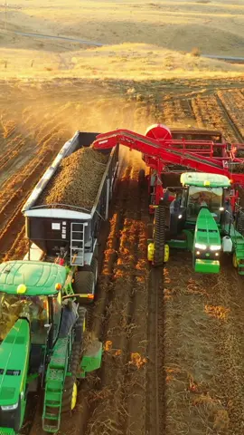 Potato harvest in Washington State 🥔 @Spudnik  @John Deere  @RDO Equipment Co.  @WashingtonPotatoes  #potatofarming #potatoharvest #spudnik #potatoequipment #farming 