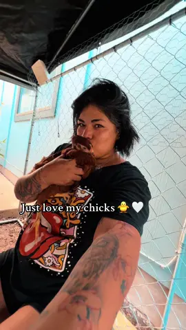 Chicks 🐥 #fyp #creatorsearchinsights #contentcreator #chick #creator 