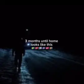 Mårrån kommer tillbaka #nordic #winter #fördig #europe #viral 