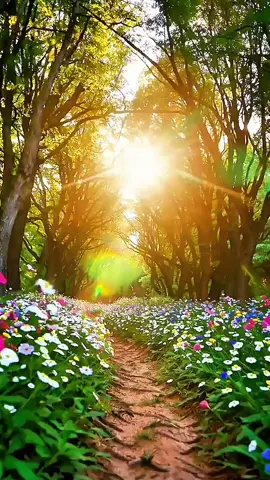 ✨️ Pure joy in every step✨️compartilhe. ✨️🙌 ✨️ Quando tudo floresce, até a alma sorri. Um caminho de luz, cores e vida que tocam por dentro. A luz dança entre as árvores e o caminho floresce só para você. Curta, compartilhe. ✨️🙌 #paravoce #natureza360 #naturelovers #sunsetviews #flowers 