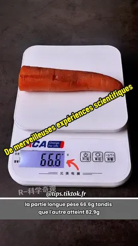De merveilleuses expériences scientifiques physiques et chimiques que vous pouvez essayer ou enseigner à vos enfants #scienceexperiment #physics #chimique 