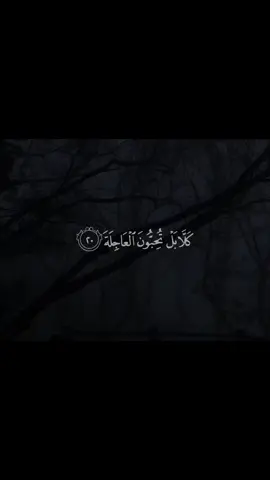 القارئ إدريس أبكر  #ادريس_ابكر #قرأن_كريم #قرآن #quran  #تلاوة 