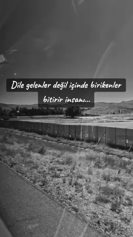 #veyseluluağaç #eskişarkılar #fyp #tiktokviral #gidendönmezmiş 