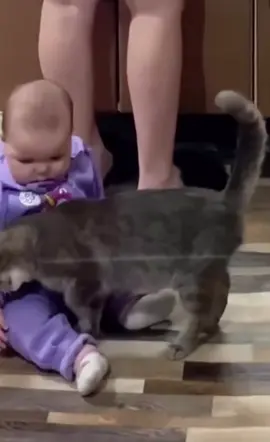 #cats #catlover #viral #الشعب_الصيني_ماله_حل😂😂 #fyppppppppppppppppppppppp 