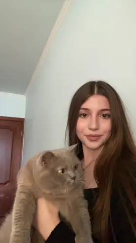 meow