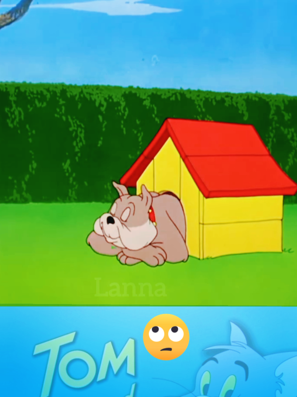 #tomandjerry #cartoon #animations #tom #jerry 