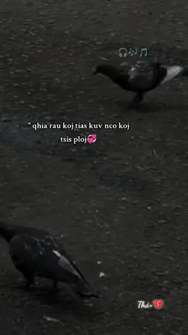 #🎶#🎧 qhia rau koj