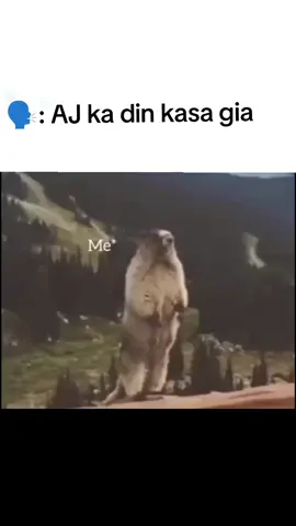 Asa hi gia🥲Ek Dum sab Kuch khtam😫#unfrezzmyaccount #viral #funnymemes #viewsproblem #pakistanzindabad 