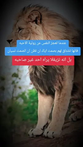#fyp #اقتباسات_عبارات_خواطر🖤🦋❤️ #عبارات_جميلة_وقويه😉🖤 #زيادة_المشاهدة #اكسبلور_explore 