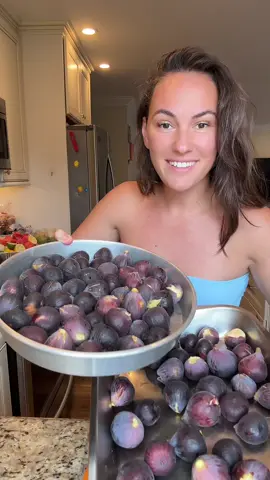Fig harvest!!! 💜 