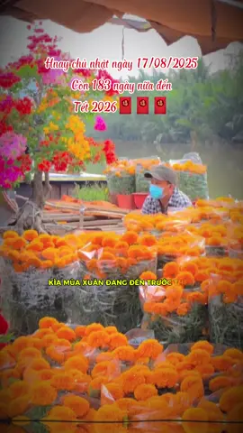 Hổng ấy mình bỏ 1 8 còn 3 ngày luôn nha mn 😂 #nhachaymoingay #tet2026 #capcut #capcutpioneer #pioneertamplate 