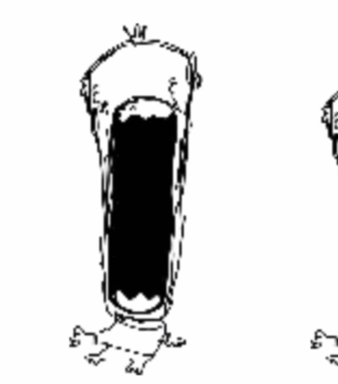 Seal of extreme dehydration #tiktok #seal #viral #animation #fypシ 
