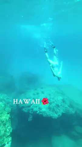 10 seconds of Hawaii 🐠🌺 #ocean #nature #hawaii 