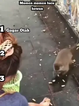 Funny Fidio PART 2 #animals  #fyp #funyy_videos #lucu_ngakak #foryou 