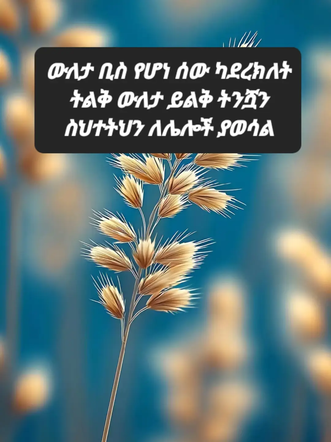 #ፍቅር➻ብቻ🖇ፍቅር➻ብቻ❤🥀🔐🦋👑 #ፍቅር➻ብቻ🖇ፍቅር➻ብቻ❤🥀🔐 #ሰላም_ለሀገራችን_ሰላም_ለሕዝባችን🇪🇹🇪🇹🇪🇷🇪🇷 #የኔ➻ፍቅር➻♥🦋🥀🔐 #ኢትየዮጵያ_ለዘለዓለም_ትኑር🇪🇹 #ethiopian_tik_tok #foryoupage❤️❤️ #ፍቅር💓ብቻ🥀🦋🥀🕊️🔐 #የኔ_አለም🌏🥀🦋🥀 #ኢትዮጵያንቲክቶክ #ethiopian_tik_tok🇪🇹🇪🇹🇪🇹🇪🇹 