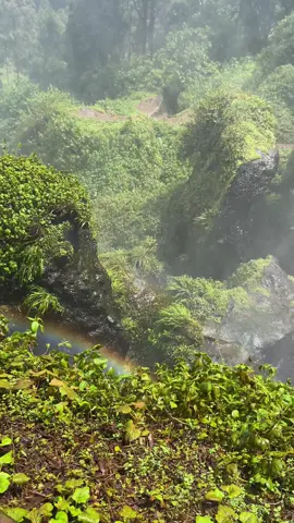 Let’s explore. #jinjaactivities #visitjinja #guidejackson 