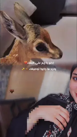 #CapCut ادلع يا ريم على كيفك واجد ما جابوا توصيفك #🦌💎 #fypシ゚ #اكسبلورexplore  #الشعب_الصيني_ماله_حل😂😂 
