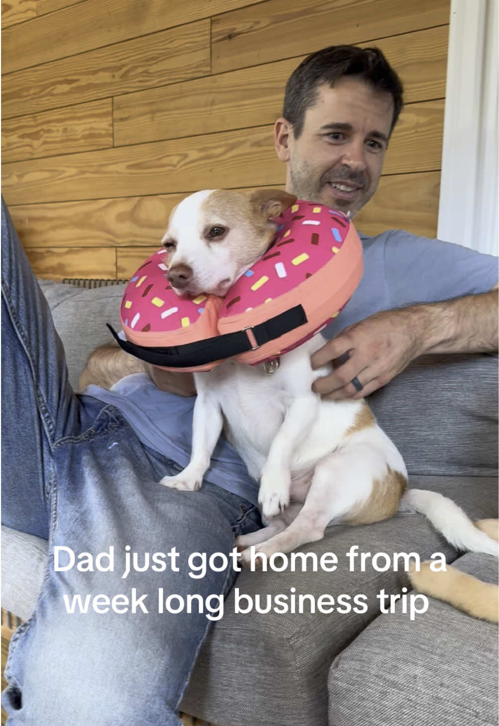 I don’t think they realize this means they will be going back to sleeping in their dog beds with the exception of Fabio. He’s old as shit and should sleep wherever he GD pleases. 