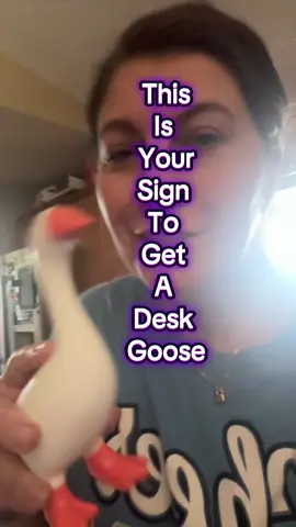 Oh my gosh! Shes going to look so cute on my desk!! #deskgoose #porchgoose #sillygoose #deskdecor #officehumor 