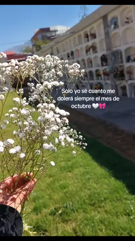 🐣 #cielo #vuelaalto #fyp #foryoupage #xyzcba 