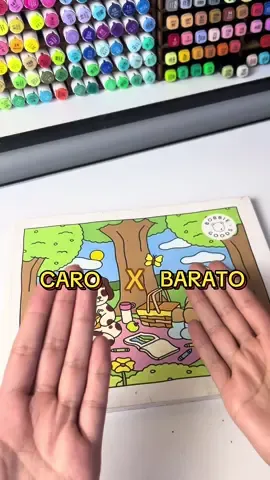 Caro x Barato! Pintando uma pagina de Bobbie Goods com os marcadores acrílicos genéricos vs os da Ohuhu. Qual dos dois vai ficar mais bonito? #bobbiegoods #marcadores #lapisdecor #acrilyc #fy