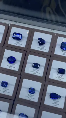 ✨Shining from Ratnapura✨  National Gem and Jwellery exhibition Rathnapura ,Sri Lanka 2025🇱🇰💎 #රත්නපුරේ_අපි❤️ #ceylonbluesapphire #srilanka #visitsrilanka #sapphire 