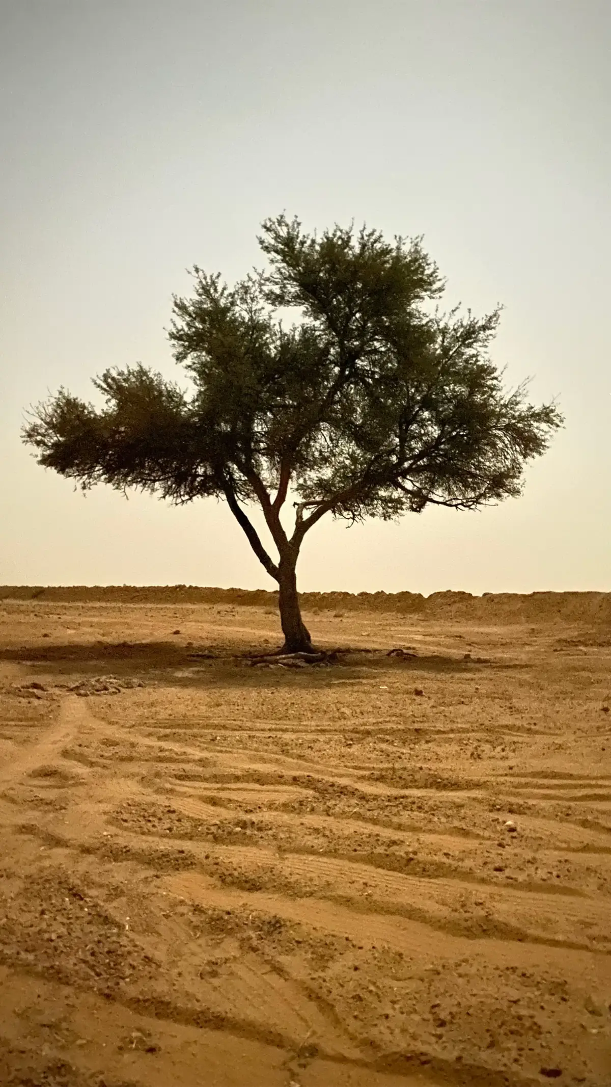#سبحان_الله_وبحمده_سبحان_الله_العظيم #لااله_الا_انت_سبحانك_اني_كنت_من_ظالمين #استغفرالله 