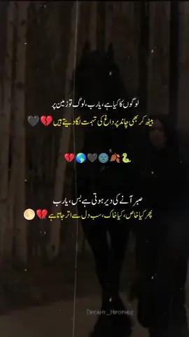 کوگ کیا ہے یا رب لوگ تو زمین پر #viralvideo #foryou #potrysatuts #viralfyp 💔🖤💔🖤💔🖤💔🖤