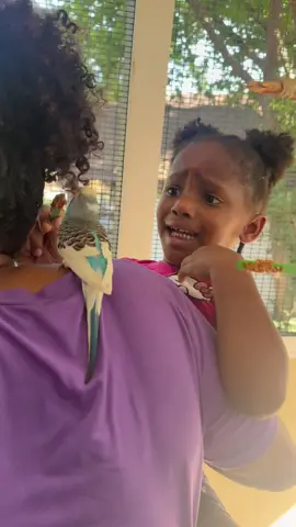 lol she gangsta ….she was finna pick it up and throw it #fyp #viral #bird #brave #kid