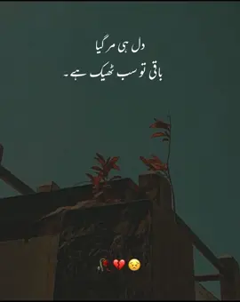 💔💔💔💔💔💔