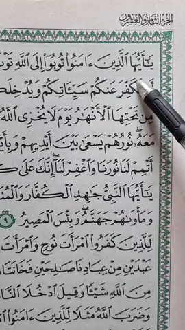 Recitation Of Quran 📖  #quran #quran_alkarim #fyp #fypシ #viral #tiktok #foryoupage #growmyaccount 