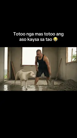 Dog Lovers share nyo yung multo nyo sa aso nyo #doglovers #dogs #multo 