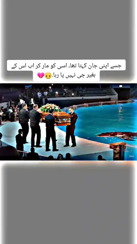 Dolphins # #ripjessica #fishattack #dolphen #jessic #creatorsearchinsightsview 