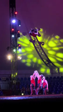 #gymnastics #trick #flip #jump #acrobatics 