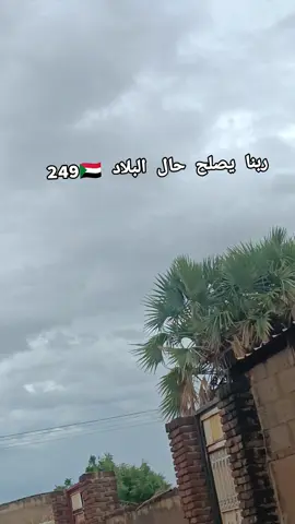 #عروس_الرمال_الأبيض،، 
