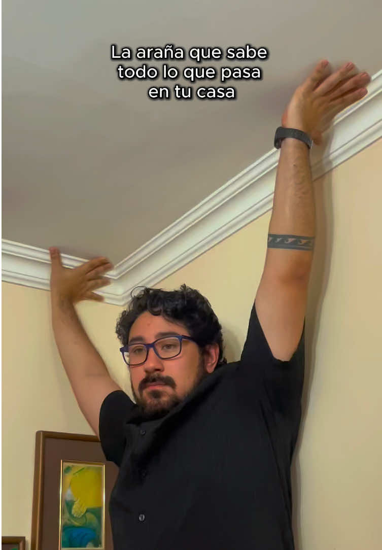 Ya nada le sorprende 🕷️ #araña #casa #humor #ecuador #techo 