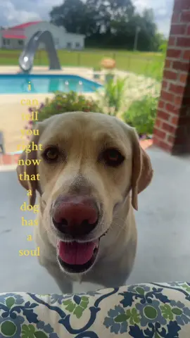 Sweeeettt dolly 