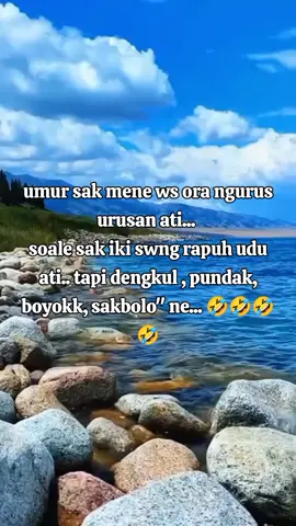 #livehighlights 
