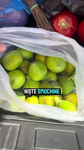 🛒 Azi din piață am venit cu un coș plin de bunătăți: fructe 🍎, legume 🥦, pește 🐟 și carne 🍗. Totul proaspăt și numai bun pentru mese sănătoase și colorate 🌿. 🍽️ Iar la cină gătesc ceva special: osso buco 🤩. 👉 Apropo de cină: lasă și tu în comentarii o variantă de cină sănătoasă 👇#cristicristea