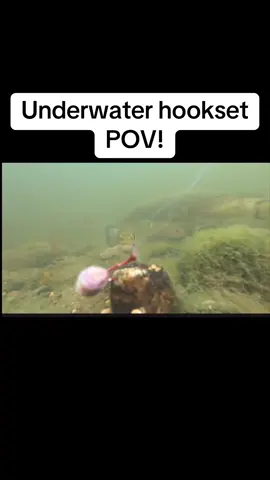 #fypシ #fishing #az 