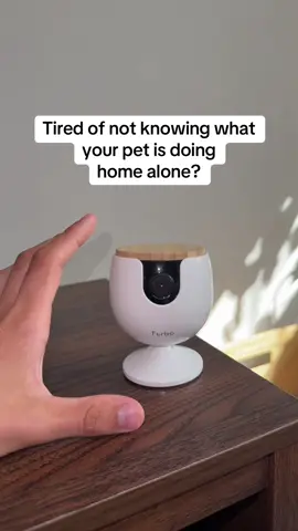 You will thank me later #fyp #furbo #security #360cam #dogcamera 