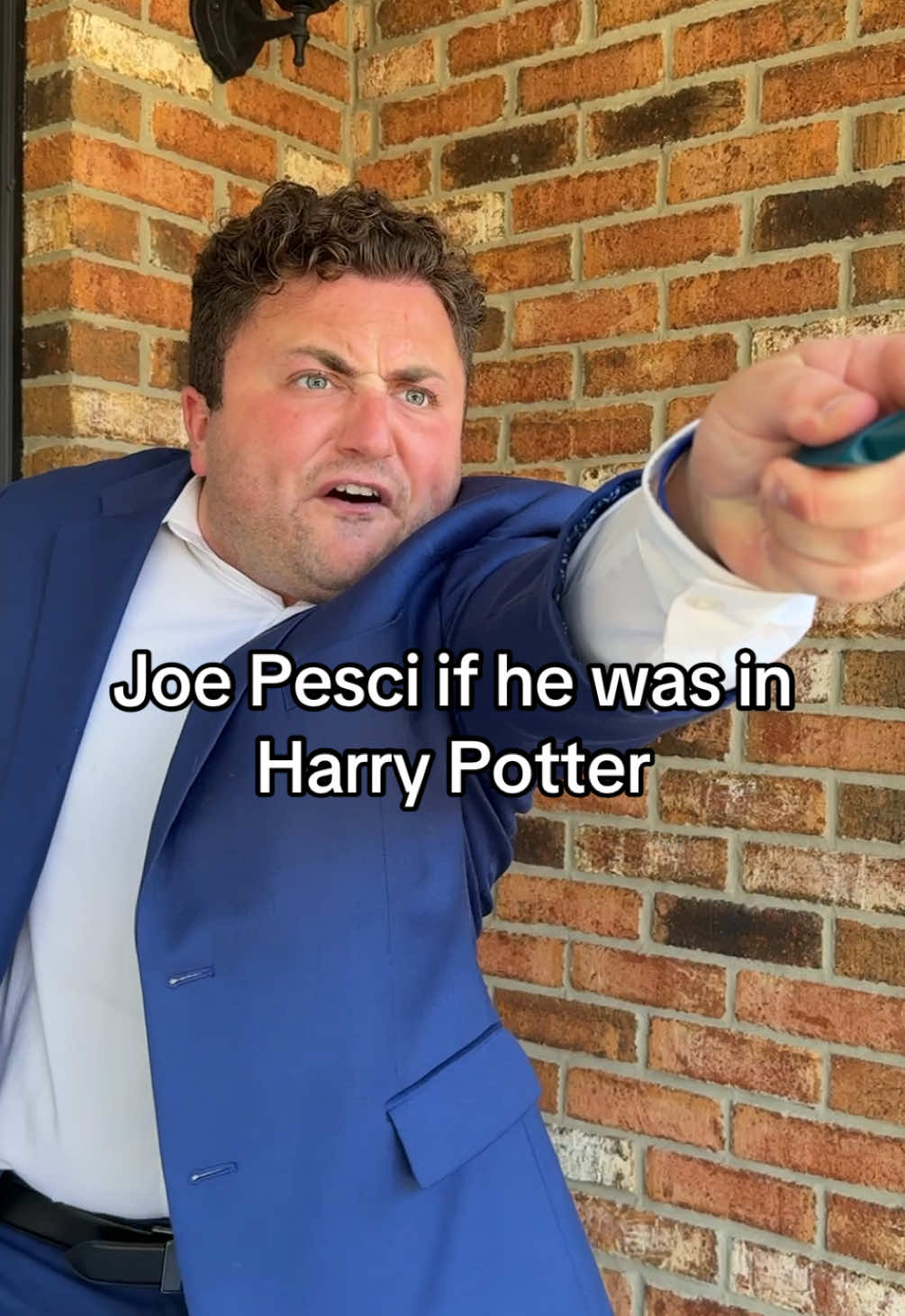 We call him… Pesci Potter #harrypotter #impressions #skit #fyp 
